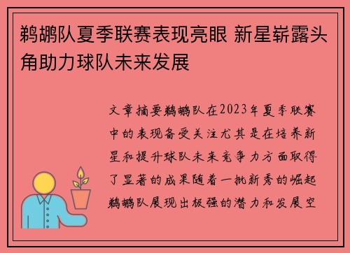 鹈鹕队夏季联赛表现亮眼 新星崭露头角助力球队未来发展